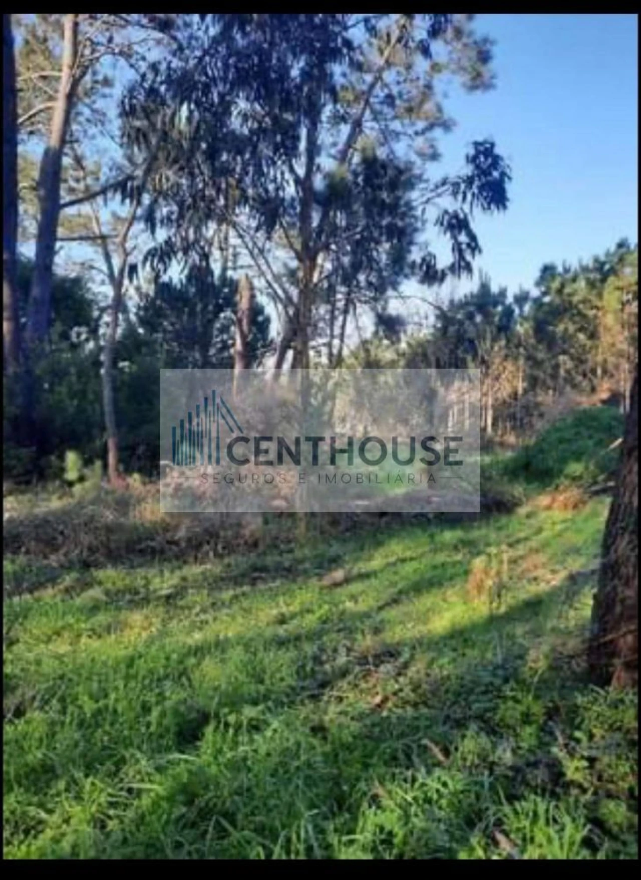 Terreno para Venda em Tavarede Foto 4