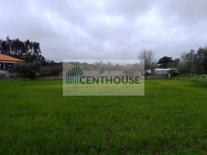 Terreno para Venda em Cantanhede e Pocariça Foto 2