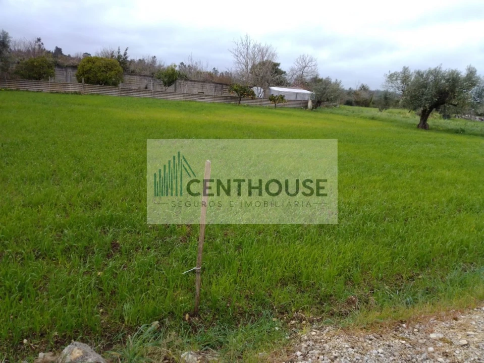 Terreno para Venda em Cantanhede e Pocariça Foto 5