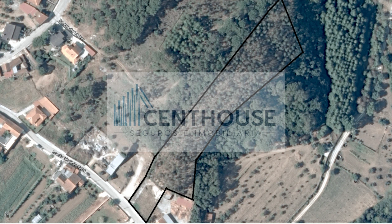 Terreno para Venda em Cantanhede e Pocariça Foto 2