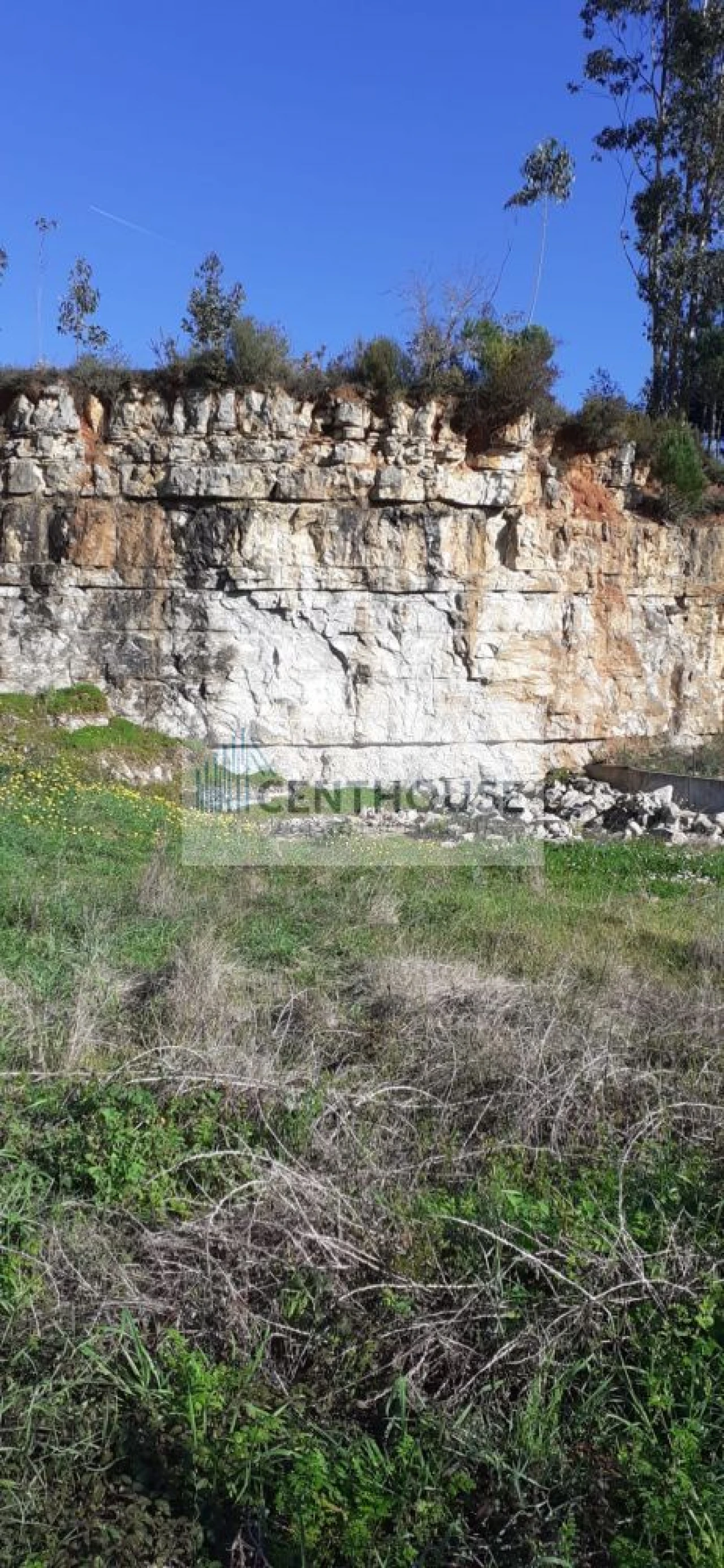 Terreno para Venda em Cantanhede e Pocariça Foto 5