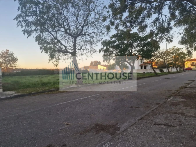 Terreno para Venda em Cantanhede e Pocariça Foto 6