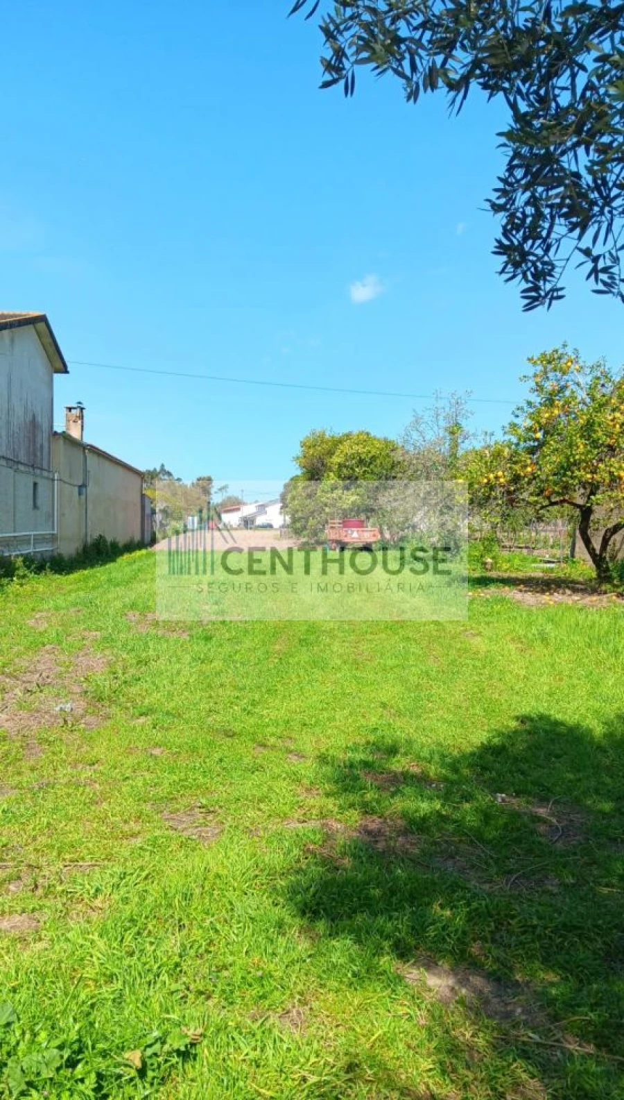 Terreno para Venda em Cantanhede e Pocariça Foto 3