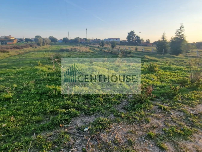 Terreno para Venda em Cantanhede e Pocariça Foto 1