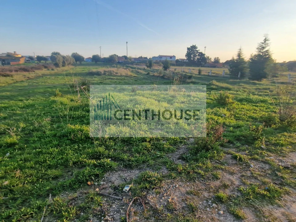 Terreno para Venda em Cantanhede e Pocariça Foto 1