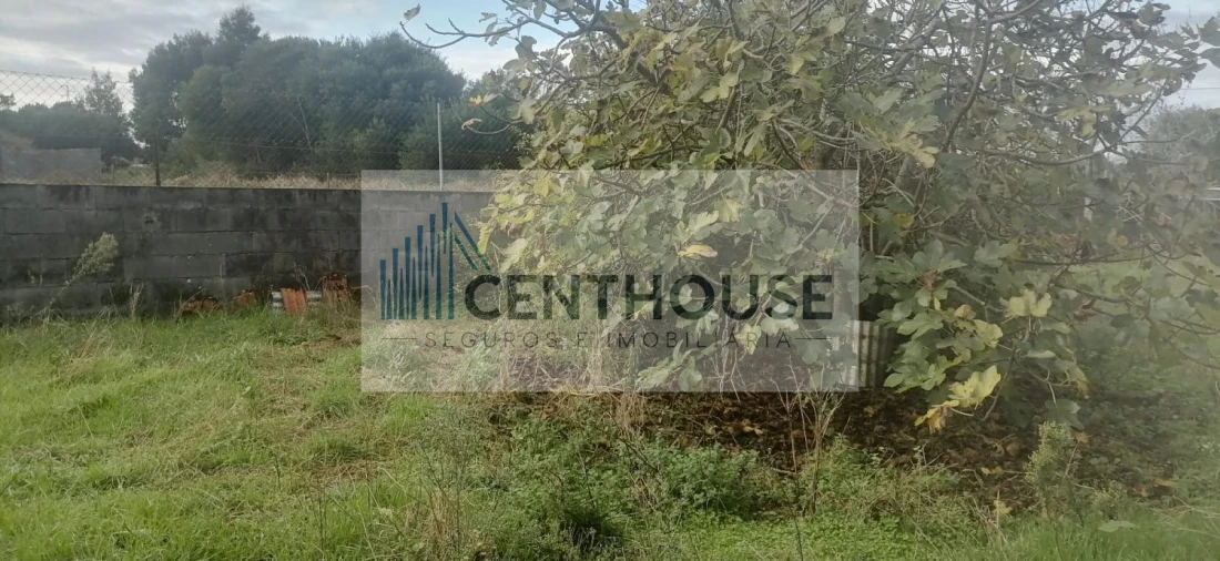 Terreno para Venda em Tocha Foto 14