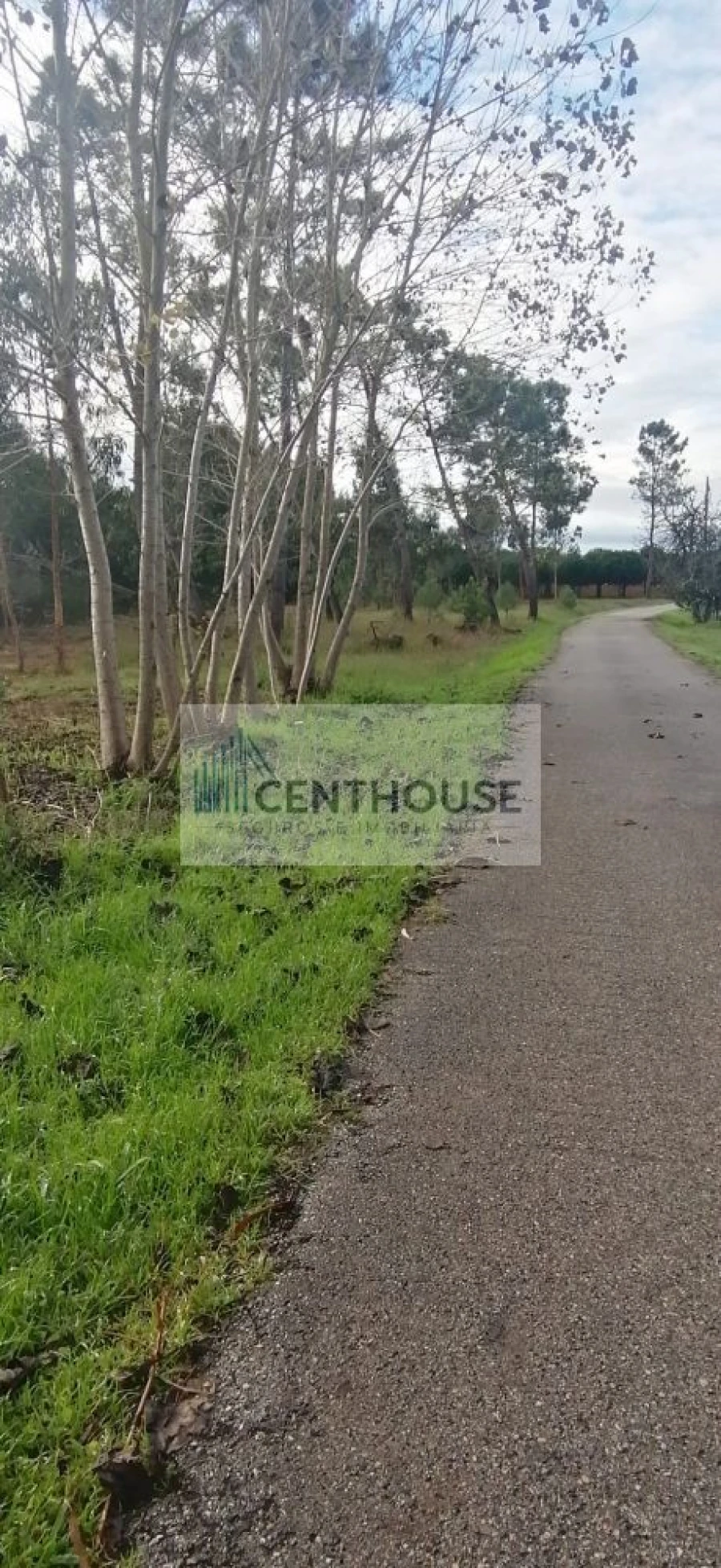 Terreno para Venda em Tocha Foto 8