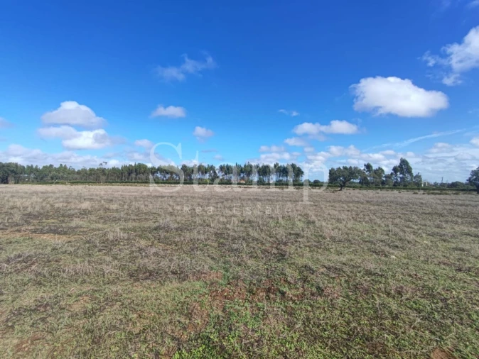 Quinta T2 para Venda em Santiago do Cacém, Santa Cruz e São Bartolomeu da Serra Foto 7