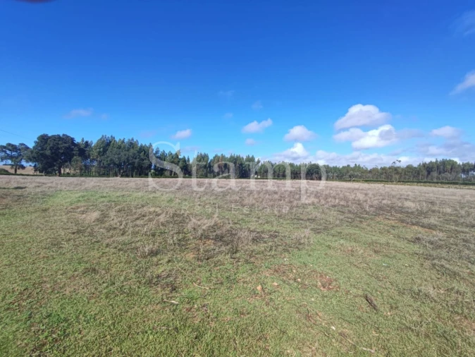 Quinta T2 para Venda em Santiago do Cacém, Santa Cruz e São Bartolomeu da Serra Foto 8