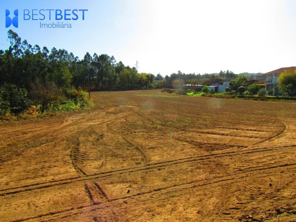 Terreno para Venda em Muro Foto 4