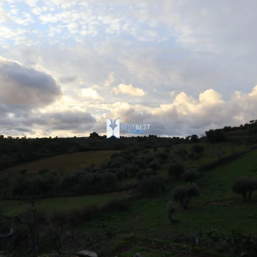 Moradia T2 para Venda em Alfandega da Fe Foto 21