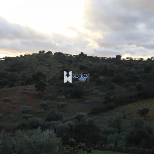 Moradia T2 para Venda em Alfandega da Fe Foto 20