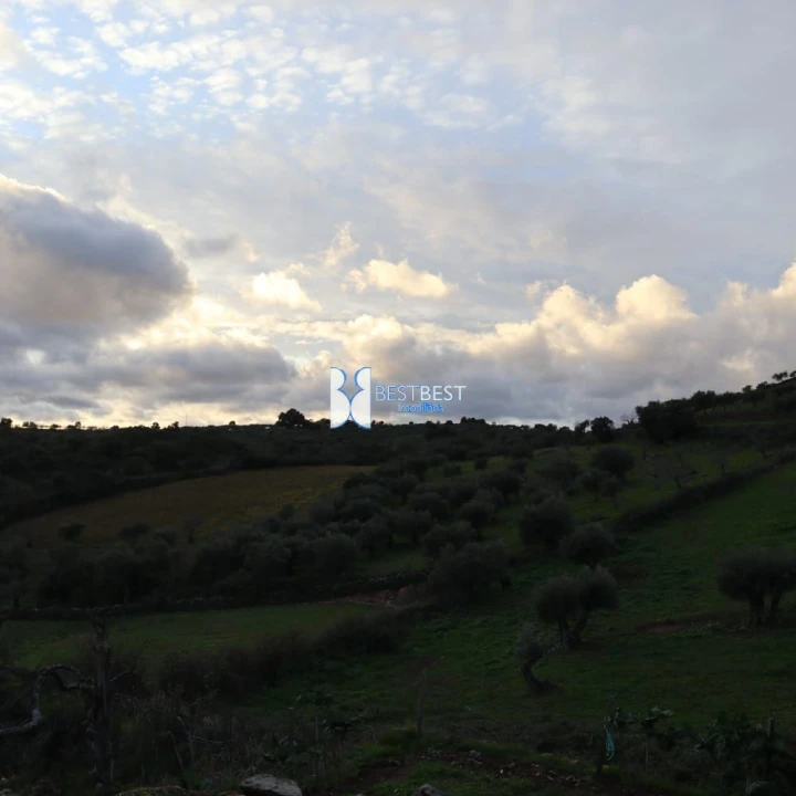 Moradia T2 para Venda em Alfandega da Fe Foto 21