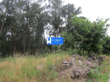 Terreno para Venda em Requião