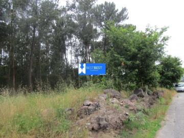 Terreno para Venda em Requião
