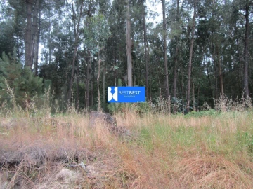 Terreno para Venda em Requião