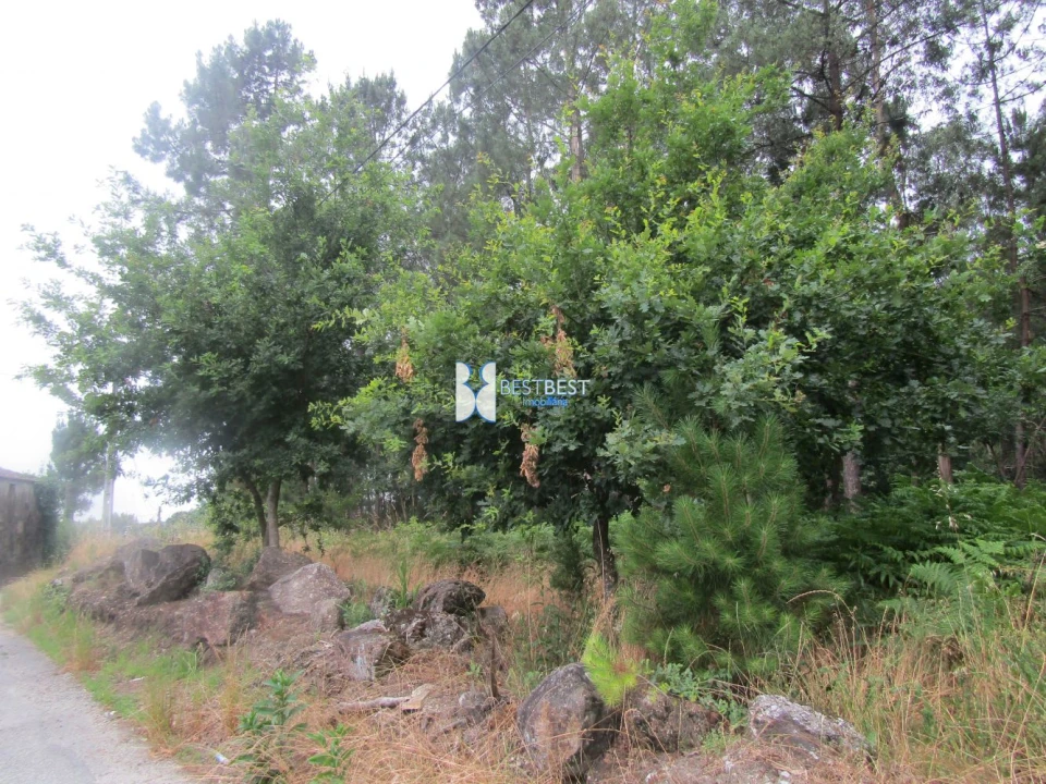 Terreno para Venda em Requião Foto 3