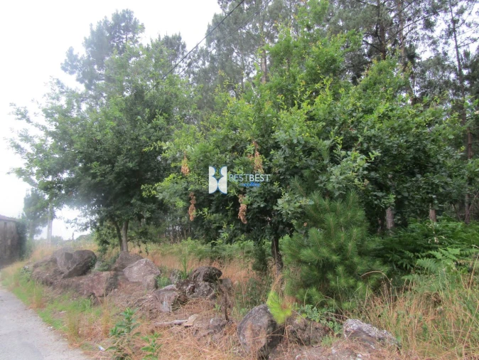 Terreno para Venda em Requião Foto 3