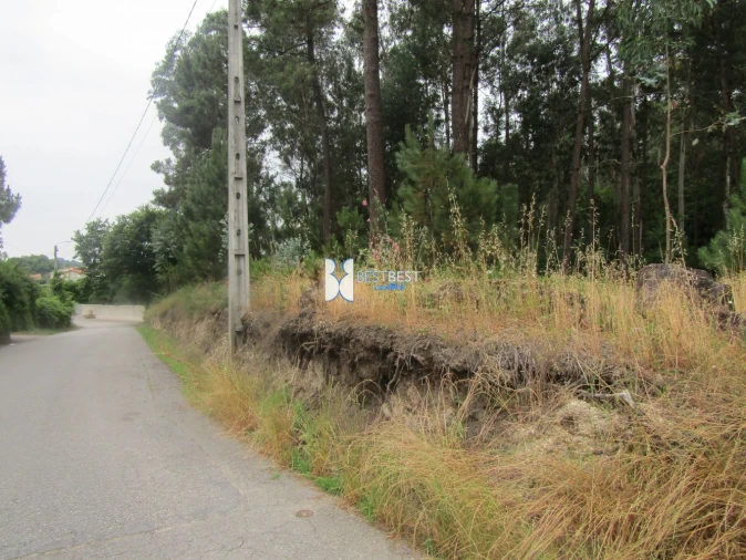Terreno para Venda em Requião Foto 4