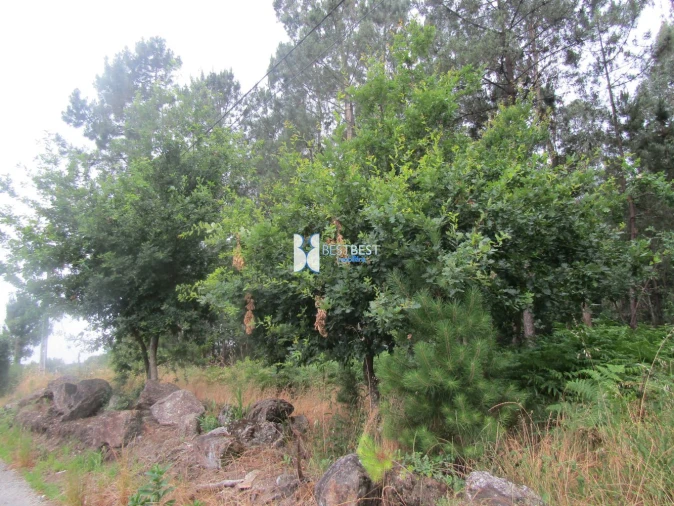 Terreno para Venda em Requião Foto 12