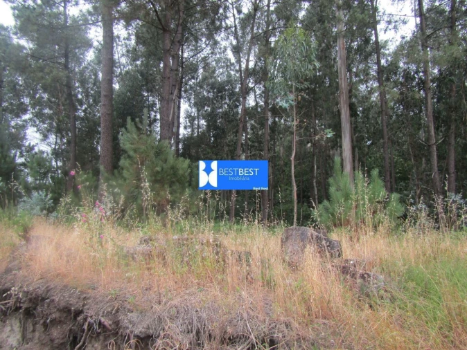 Terreno para Venda em Requião Foto 9