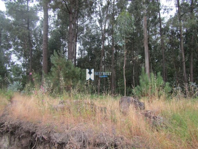 Terreno para Venda em Requião Foto 9
