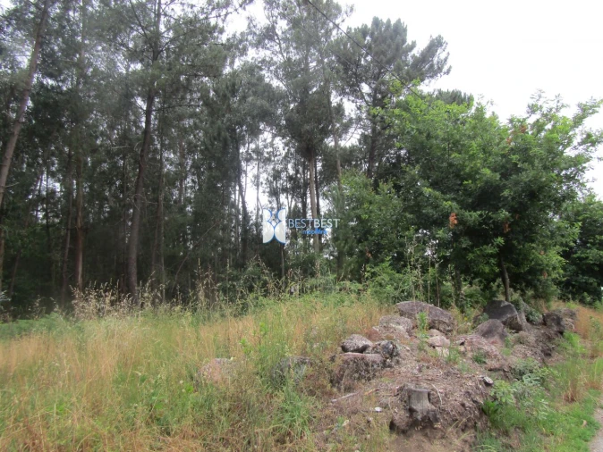 Terreno para Venda em Requião Foto 11