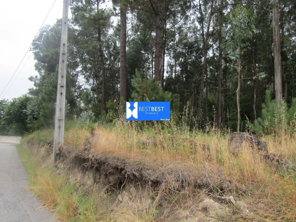 Terreno para Venda em Requião Foto 3