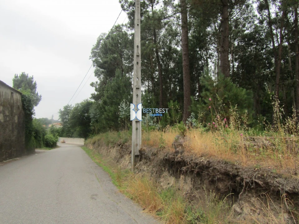 Terreno para Venda em Requião Foto 2