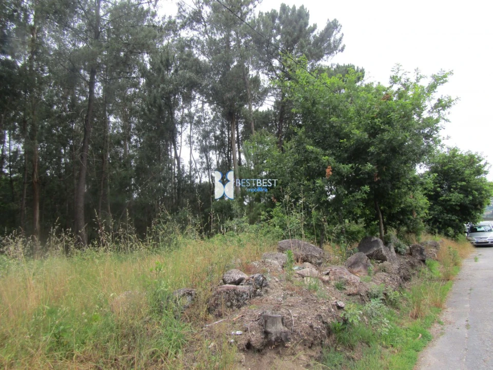 Terreno para Venda em Requião Foto 1