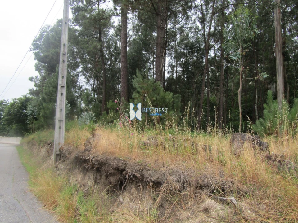 Terreno para Venda em Requião Foto 5