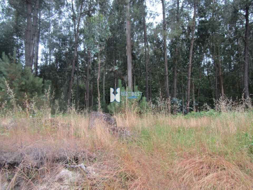Terreno para Venda em Requião Foto 10
