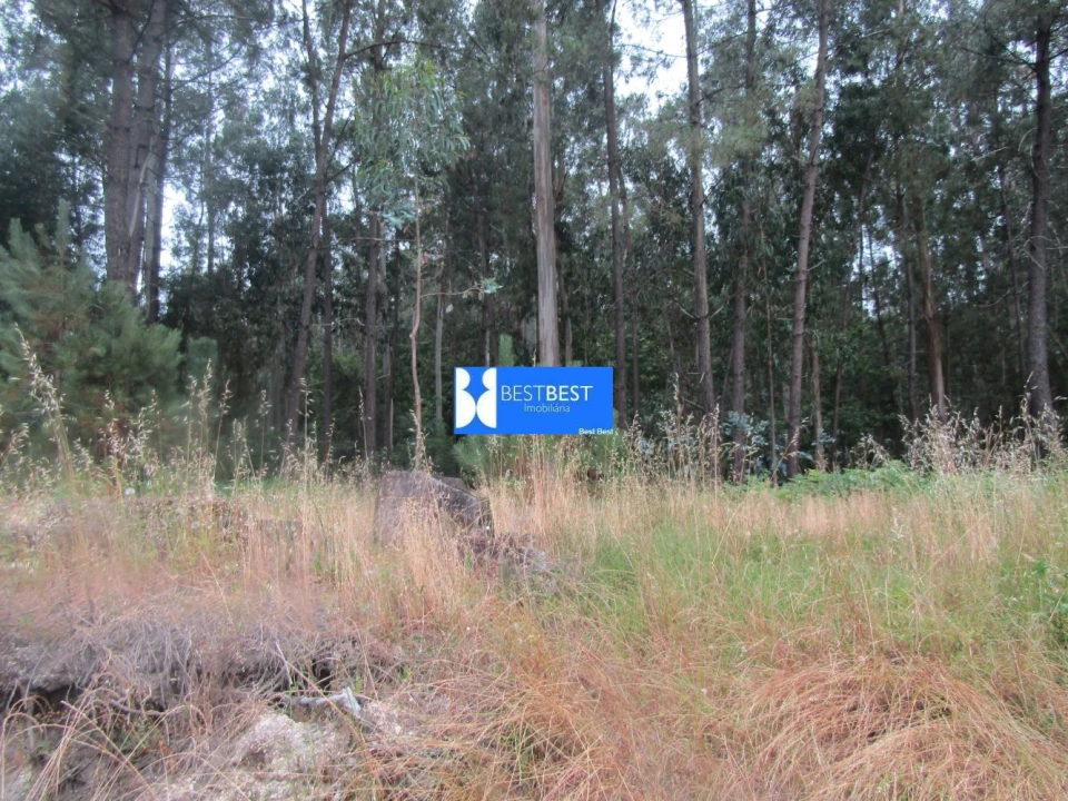 Terreno para Venda em Requião Foto 10