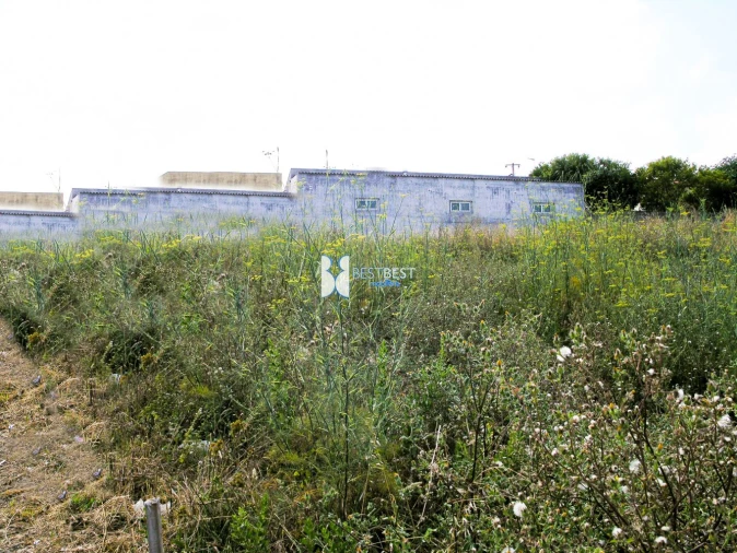Terreno para Venda em Requião Foto 3