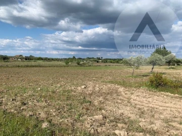 Terreno para Venda em Alcains