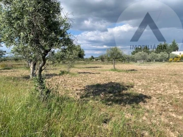 Terreno para Venda em Alcains