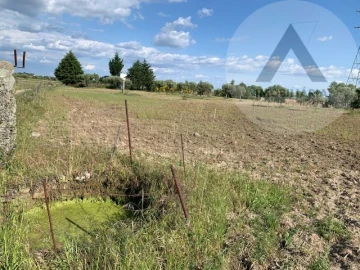 Terreno para Venda em Alcains