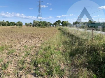 Terreno para Venda em Alcains