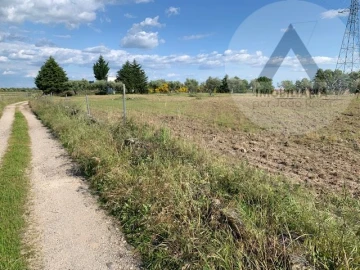 Terreno para Venda em Alcains