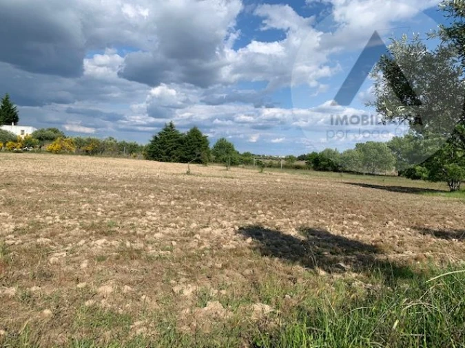 Terreno para Venda em Alcains Foto 3