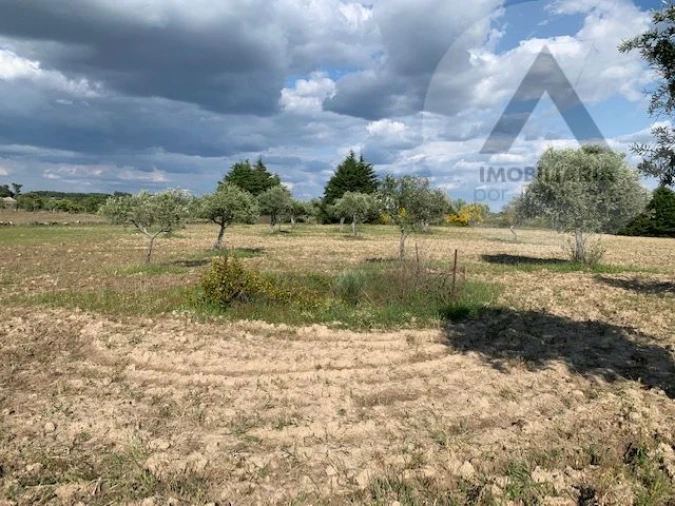 Terreno para Venda em Alcains Foto 4