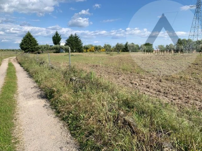 Terreno para Venda em Alcains Foto 9