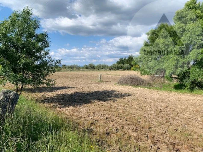 Terreno para Venda em Alcains Foto 12