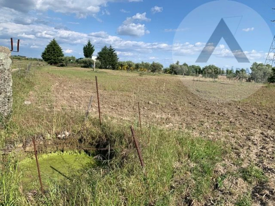 Terreno para Venda em Alcains Foto 8