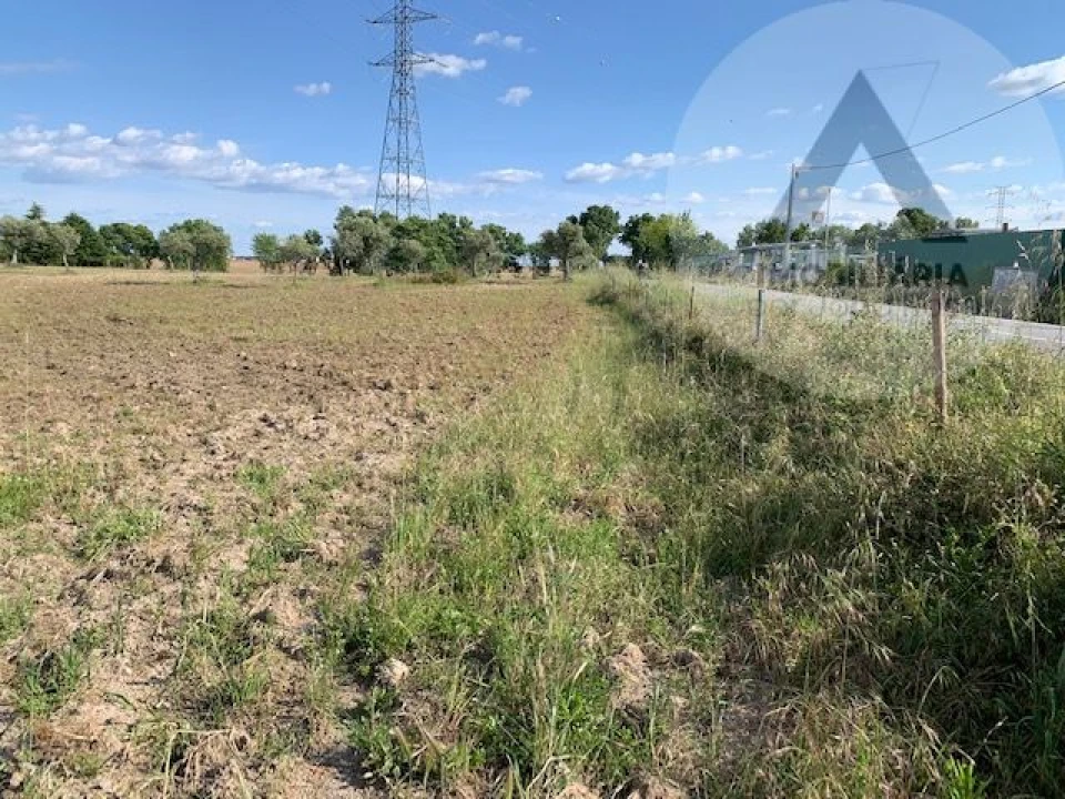 Terreno para Venda em Alcains Foto 7