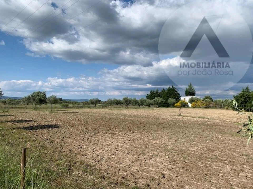 Terreno para Venda em Alcains Foto 13