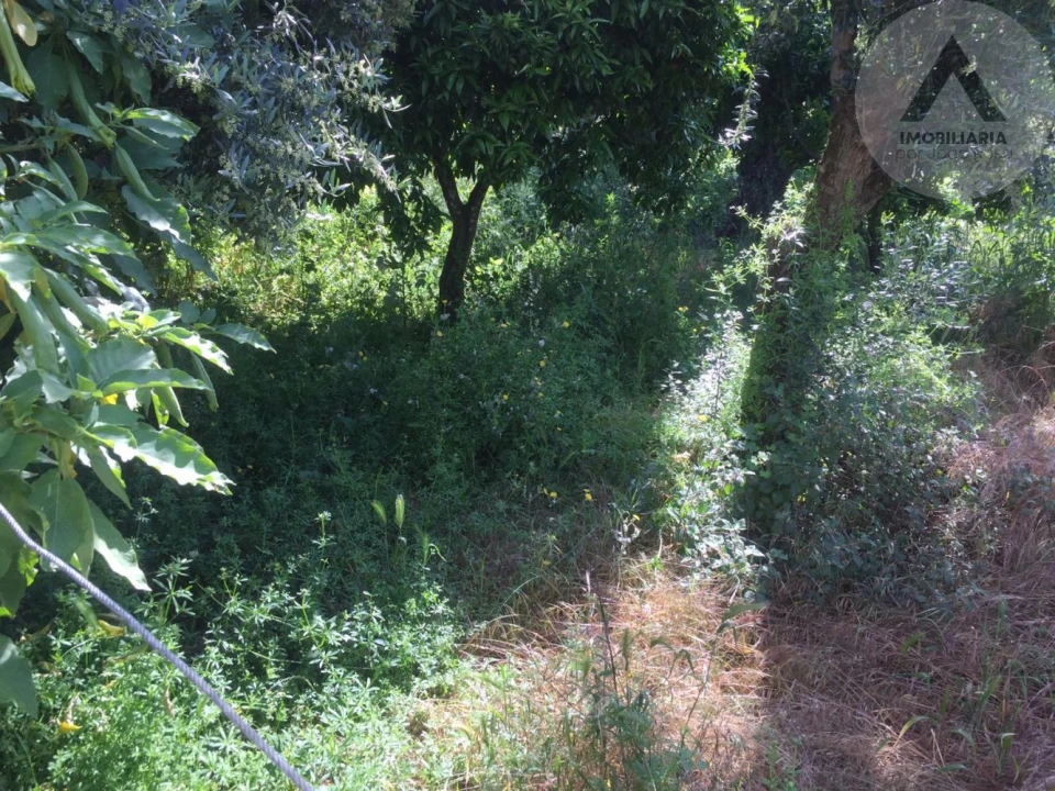 Moradia T4 para Venda em Ninho do Açor e Sobral do Campo Foto 18