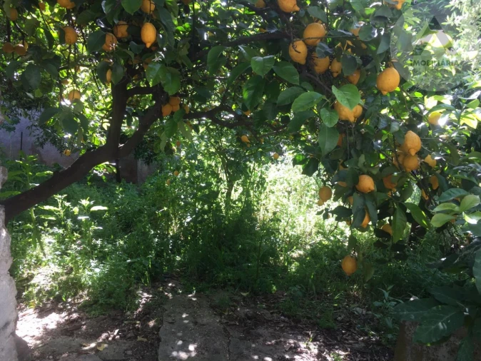 Moradia T4 para Venda em Ninho do Açor e Sobral do Campo Foto 17