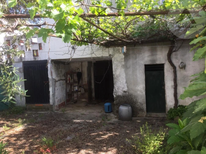 Moradia T4 para Venda em Ninho do Açor e Sobral do Campo Foto 2