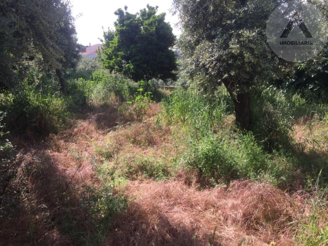 Moradia T4 para Venda em Ninho do Açor e Sobral do Campo Foto 6